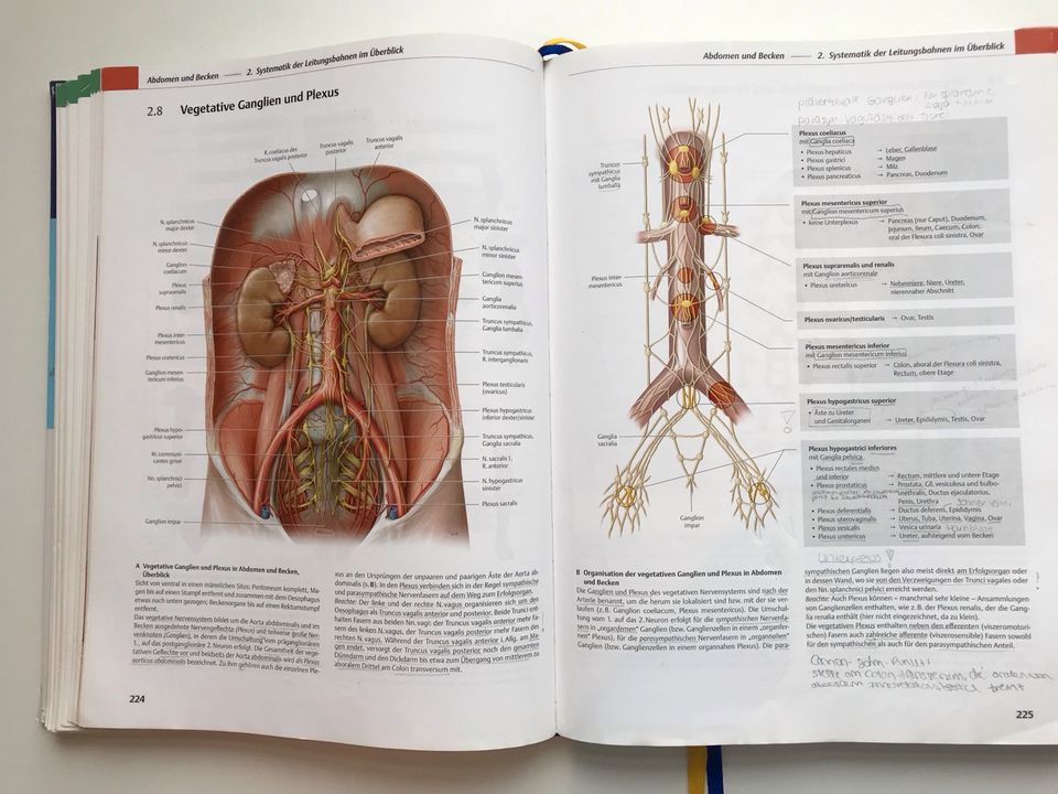 Prometheus Anatomie Innere Organe 4. Auflage Medizin unmarkiert in Göttingen