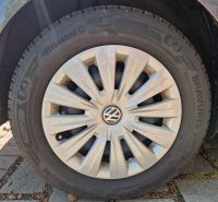 4x Sommerreifen mit Stahlfelge VW (Golf) 5x112 Brandenburg - Schlieben Vorschau