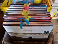 169 Schallplatten, LP's, Singles, Musik, Kindergeschichten München - Allach-Untermenzing Vorschau