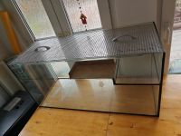 Terrarium 100x40x50 cm, geeignet zB für Hamster Duisburg - Meiderich/Beeck Vorschau