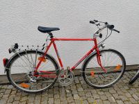 EPPLE Trekkingrad Herren TOP Bayern - Erlangen Vorschau