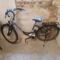 Raleigh Dover E-Comfort Hessen - Homberg Vorschau