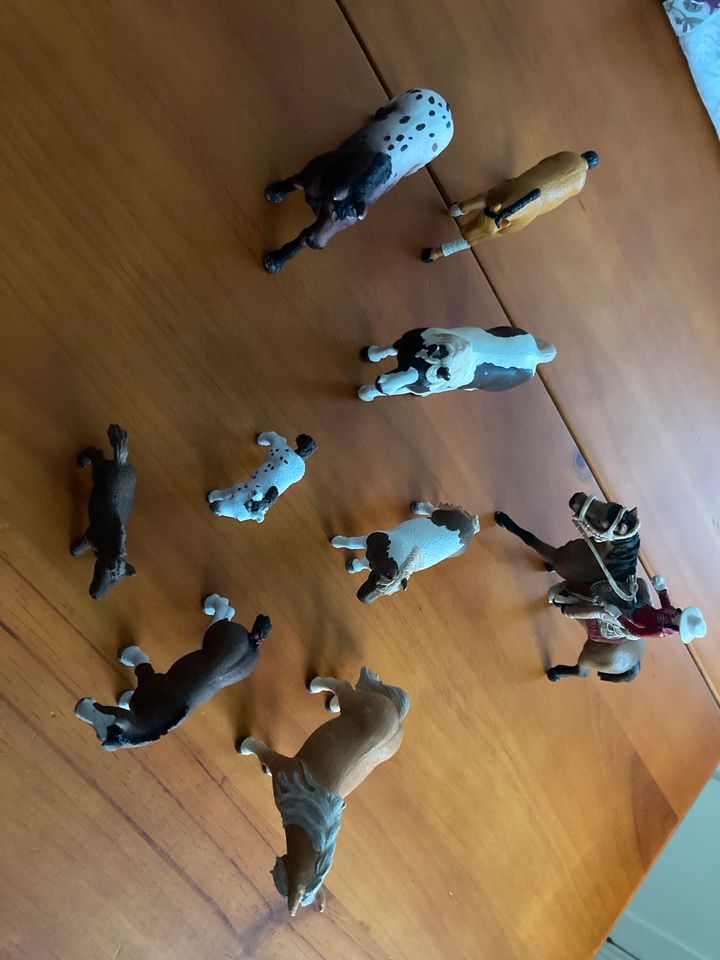 Schleich Tiere - Pferde in Rackwitz