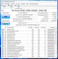 SK hynix 256GB M.2 SATA SSD versandfrei Brandenburg - Döbern Vorschau