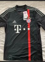 Pizarro Abschiedsspiel Trikot CL Adidas Bayern München Niedersachsen - Delmenhorst Vorschau