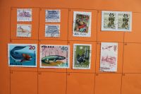 Briefmarken: Polen ab 10Cent pro Marke Bayern - Vohburg an der Donau Vorschau