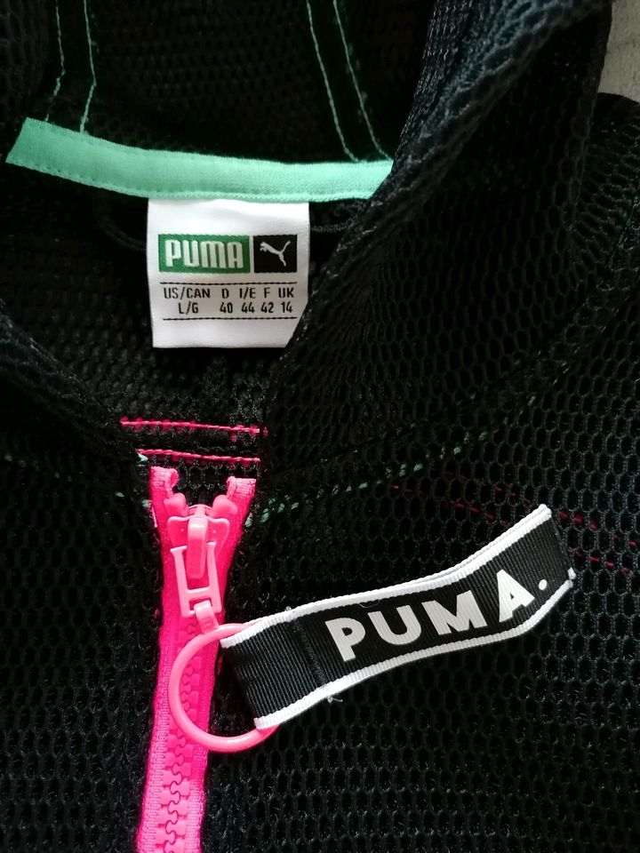 Puma Trainingsjacke Jacke Netzjacke in Northeim