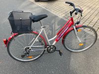Damenrad 'Tecno Bike', 26'', RH 51cm Bayern - Forchheim Vorschau