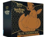 Pokémon-Shining Fates ETB Englisch Bayern - Aindling Vorschau