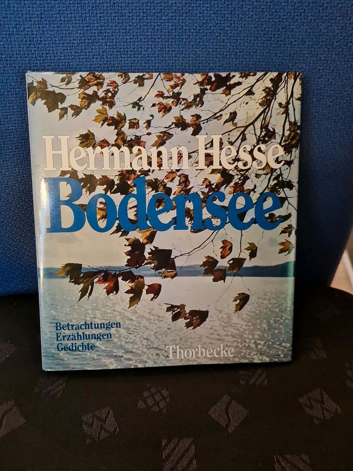 Hermann Hesse Bodensee  Betrachtung Erzählung Gedichte in Groß Vollstedt