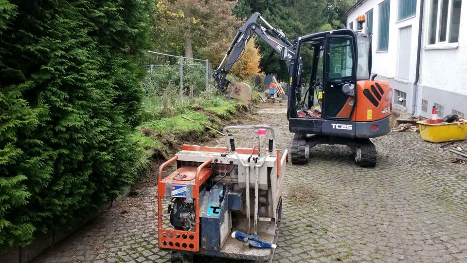 Gartenmauern, Palisaden, Treppen, Gabionenwand? in Schwarzenbach am Wald