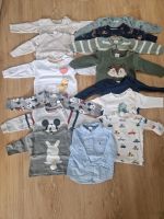 14 Langarm Shirts und Pullover Niedersachsen - Fredenbeck Vorschau