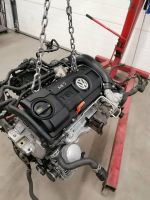 Motor Komplett CAX CAXC 1.4 TSI 35.000km Garantie TOP Engine Brandenburg - Küstriner Vorland Vorschau