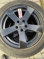 Dezent 17“Felgen mit Pirelli Winterreifen Brandenburg - Potsdam Vorschau