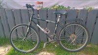 Damen Mountainbike 26 Zoll Bayern - Selb Vorschau