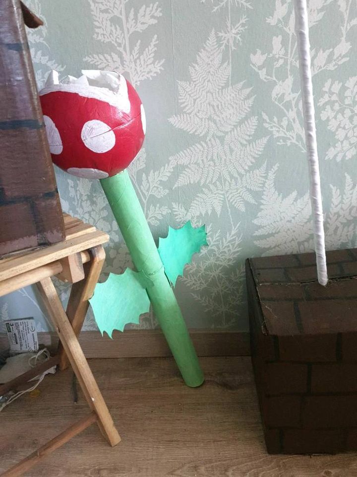 Super Mario Geburtstagsdeko in Plön 