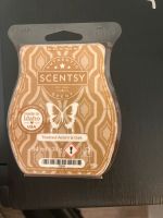 Toasted Acorn and Oak Scentsy Bar Niedersachsen - Wanna Vorschau