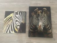 2 Zebra Bilder auf Leinwand - 50 x 50 cm / 70 x 50 cm Niedersachsen - Bad Münder am Deister Vorschau