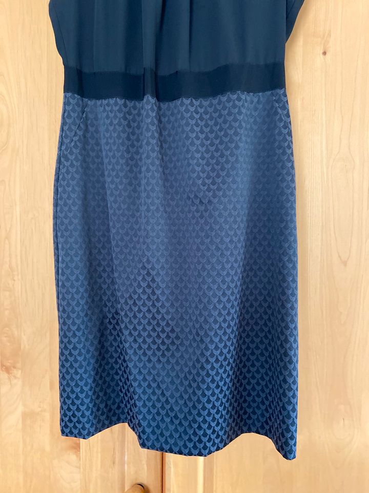 Comma Kleid Etuikleid schwarz wneu Business Gr. 40 in Waren (Müritz)