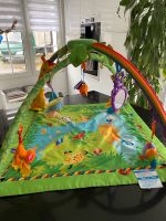 Fisher Price Erlebnisdecke Spielbogen Rainforest Krabbeldecke Nordrhein-Westfalen - Herzogenrath Vorschau