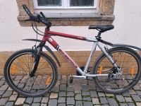 Mountainbike Damen Bayern - Hof (Saale) Vorschau