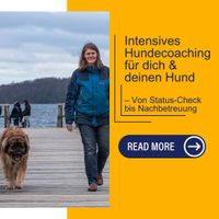 Intensiv Coaching für dich und deinen Hund Schleswig-Holstein - Flensburg Vorschau