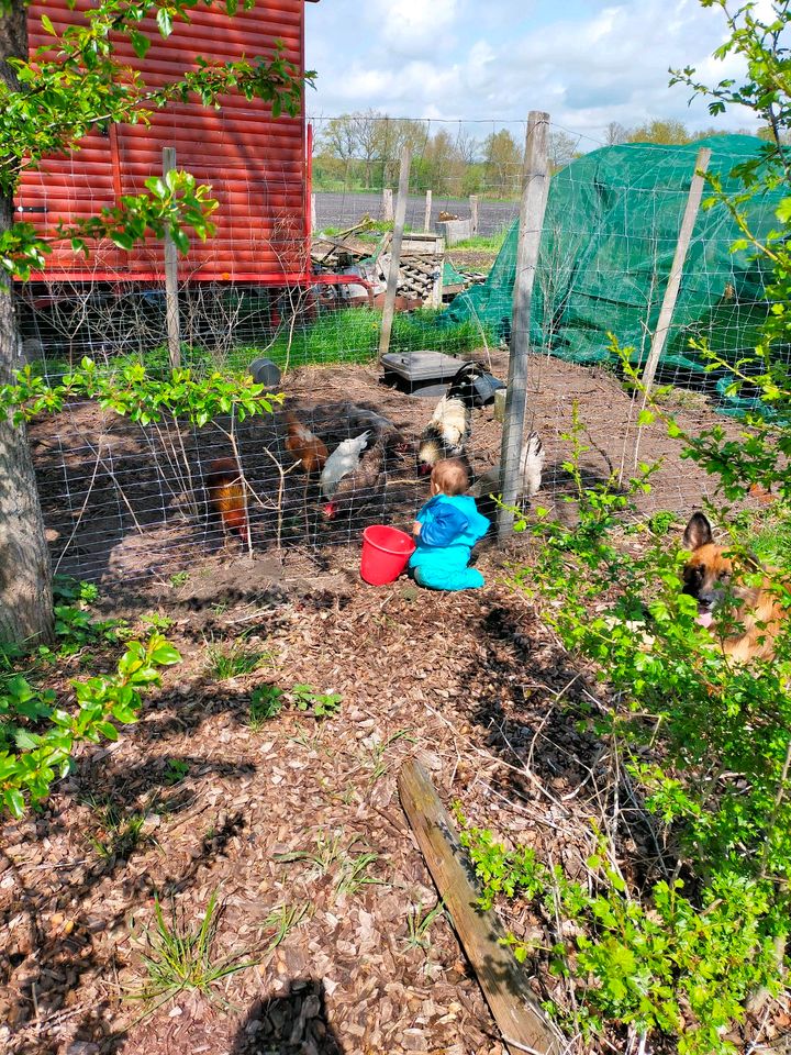 Kindertagespflege, Kinderbetreuung, Tagesmutter in Bokel