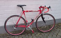 Pinerello Alu Rennrad 55 cm mit Carbon Gabel Nordrhein-Westfalen - Bergheim Vorschau