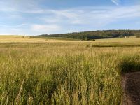 KOSTENLOS Frisch gemähtes Gras, Tierfutter abzugeben bis 2.500 qm Thüringen - Bürgel Vorschau