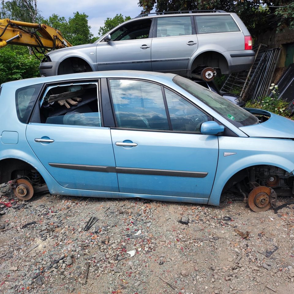 Tür vorne links Beifaher Renault Scenic 2 II in Duisburg