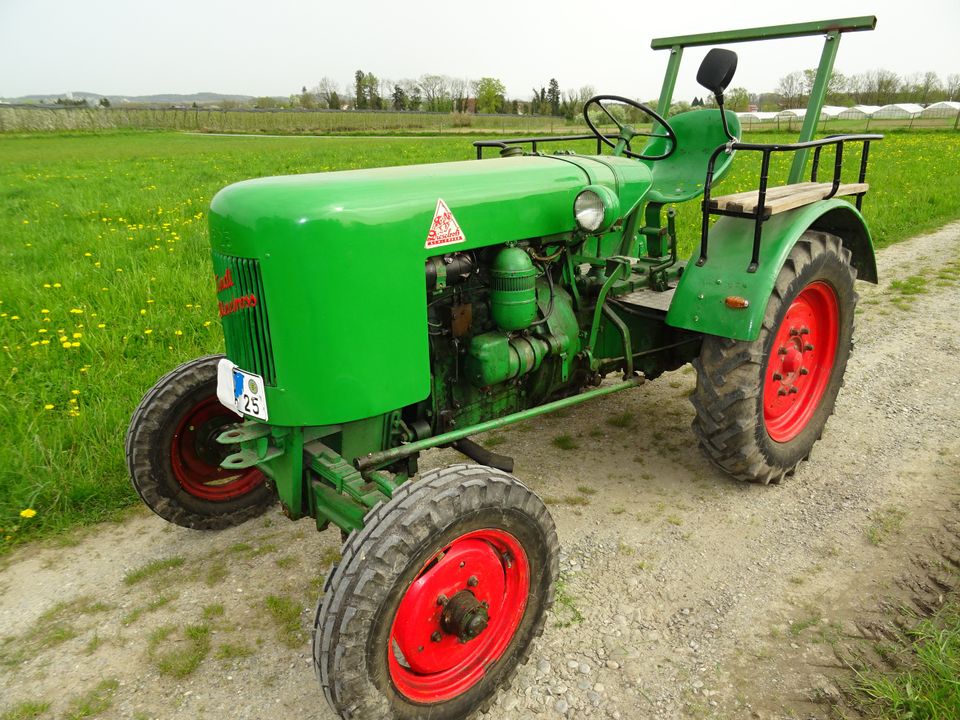 Fendt Dieselross F25 P Oldtimer Traktor Bj.1950 ZF A15 MWM KD415Z in Meckenbeuren