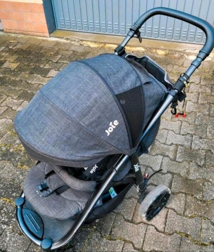 Joie Buggy in Ludwigshafen