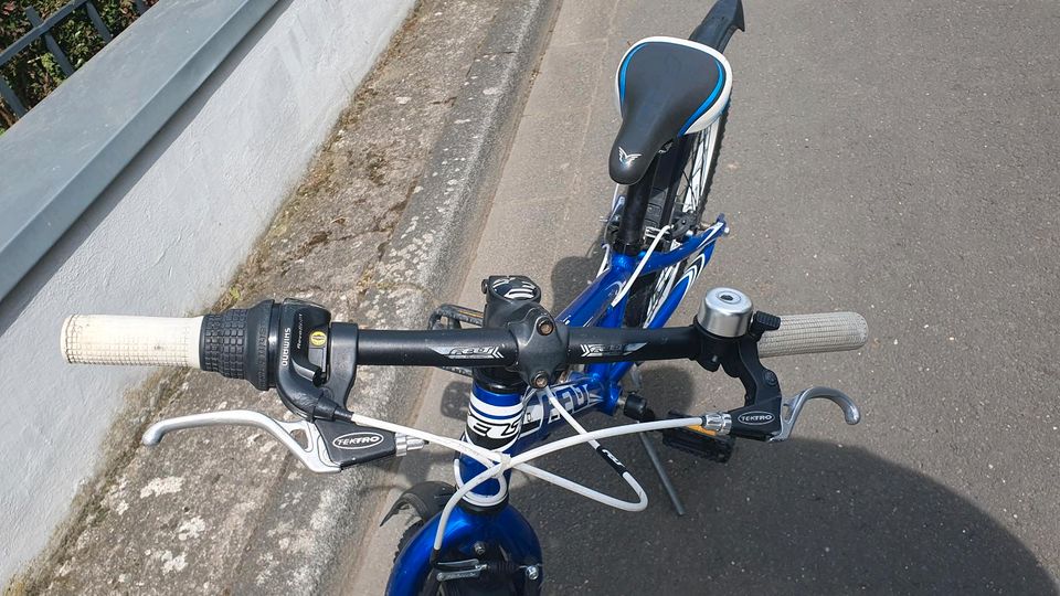 Blaues Fahrrad, felt, 20'' in Köln