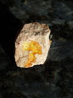 Fossil Opal Mineralien Auflösung Alte Sammlung Baden-Württemberg - Eschelbronn Vorschau