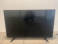 Grundig Fernseher (Kapput) Berlin - Köpenick Vorschau