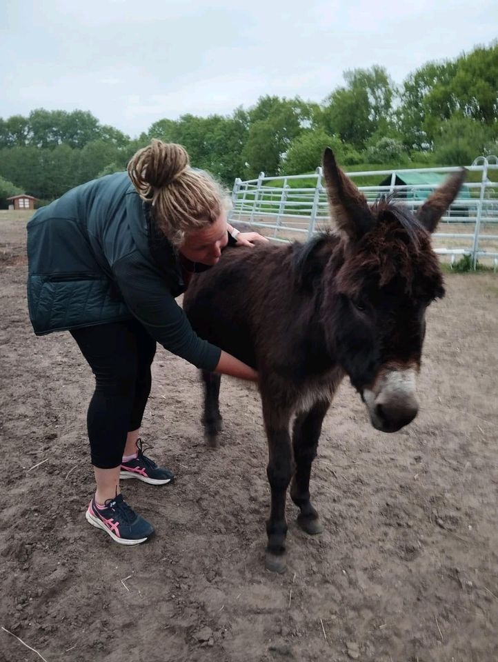 Tierosteopathie und Tierphysiotherapie in Norderstedt