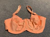 BH Gr. 100 D Janina Curved Neu und Ungetragen Hessen - Rodgau Vorschau