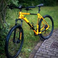 Mountain Bike Cube Attention 29 Zoll XXL Sachsen - Waldheim Vorschau