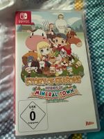 Story of Seasons Friends of Mineral Town Rheinland-Pfalz - Münstermaifeld Vorschau