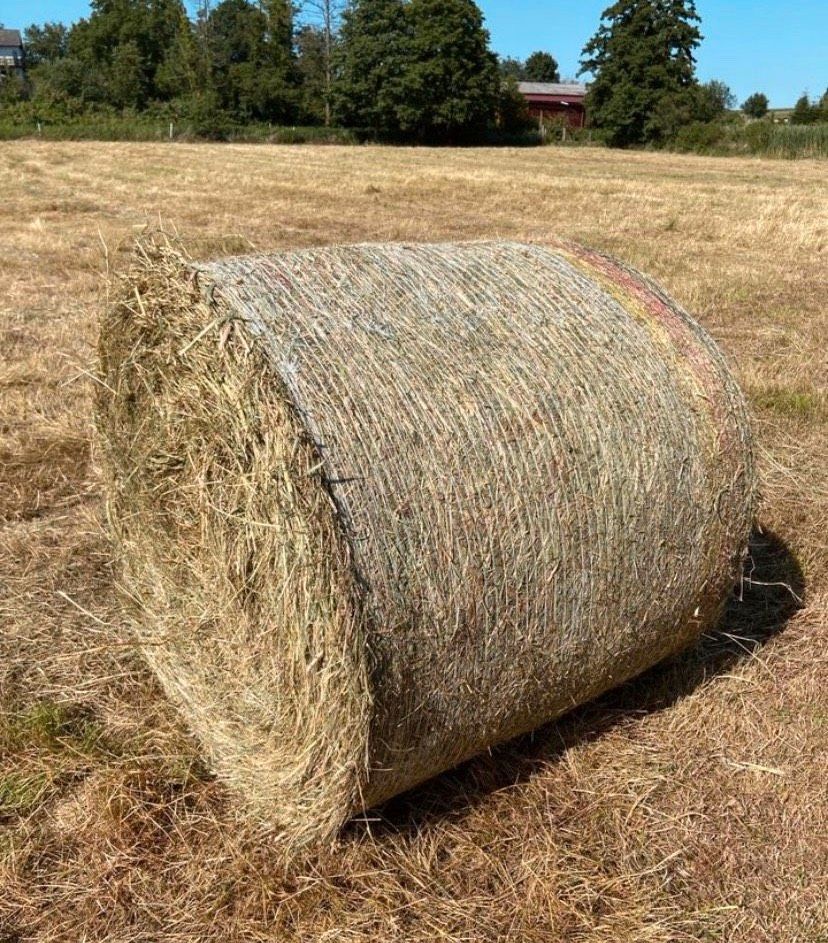 Heu Rundballen Heuballen in Kapellen-Drusweiler