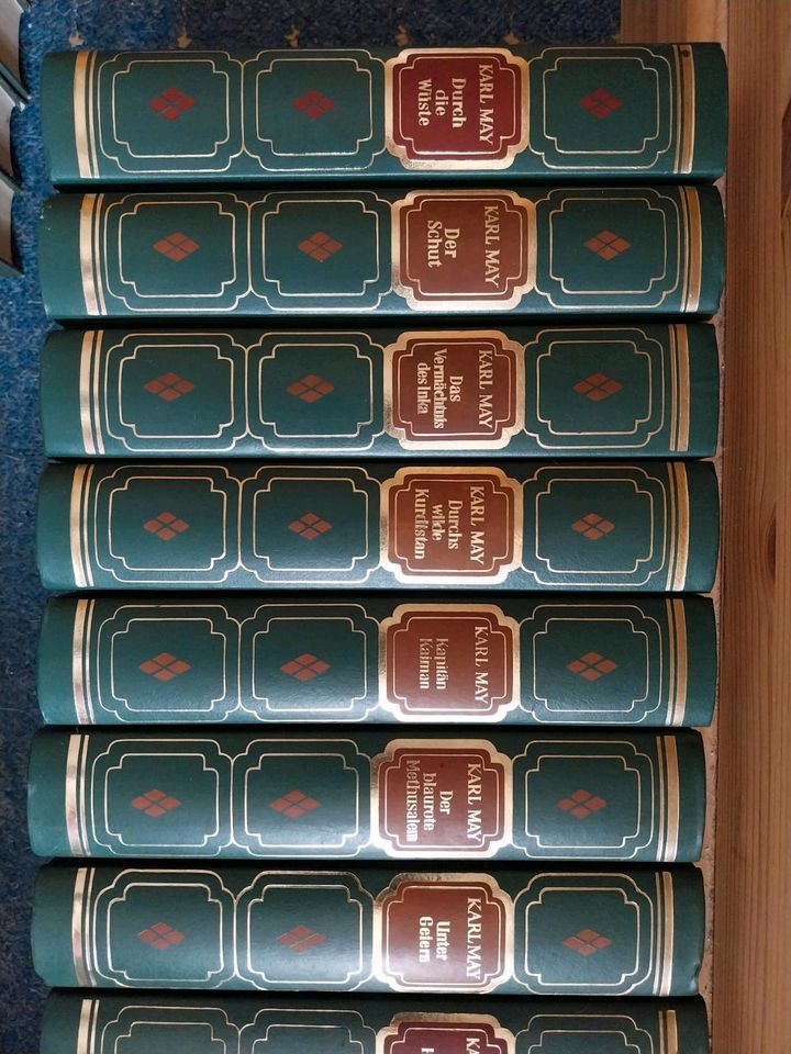 Karl May, Dominik Jules Verne Bücher in Flensburg