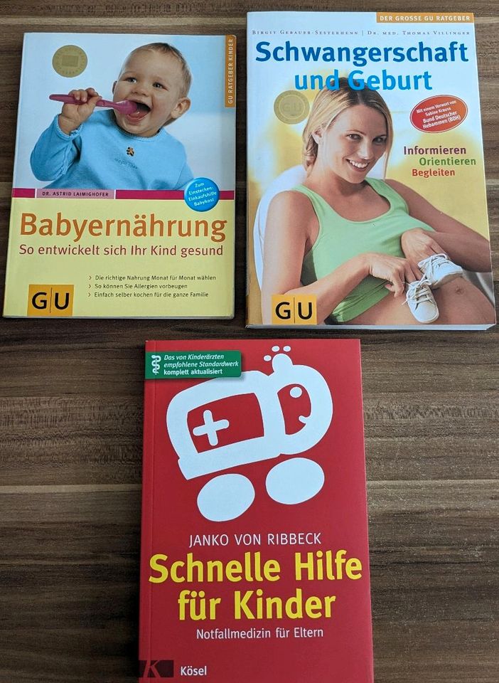 Bücher Schwangerschaft Geburt Kind Ernährung in Hamburg