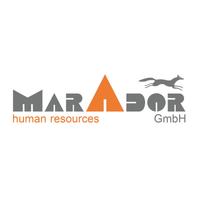 Elektriker / Elektrohelfer Hildesheim (m/w/d) gesucht! Niedersachsen - Hildesheim Vorschau