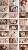 Babyfoto, Newbornphoto, Neugeborenenfotografie, Fotogtraf Düsseldorf - Oberbilk Vorschau