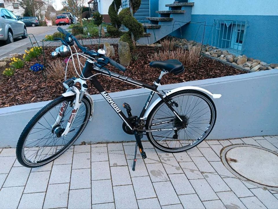 Fahrrad  Herren Winora 28 Zoll RH 50cm in Neuenstadt