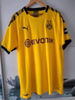 Fan-Trikot  Dortmund Hansestadt Demmin - Jarmen Vorschau