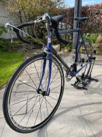 Trek Rennrad Composite 2300 Nordrhein-Westfalen - Werl Vorschau