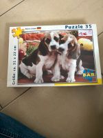 Hunde Puzzle Beagle Welpen 35 Teile OVP Niedersachsen - Nienburg (Weser) Vorschau
