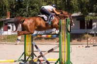 Mobiles Reittraining an Eurem Stall! Thüringen - Nobitz Vorschau