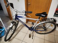 Herrenfahrrad 28 Zoll Pegasus Blau/Silber 7 Gänge Bayern - Hunderdorf Vorschau